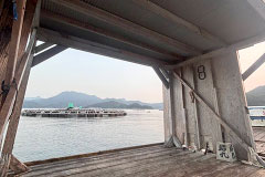 イカダ